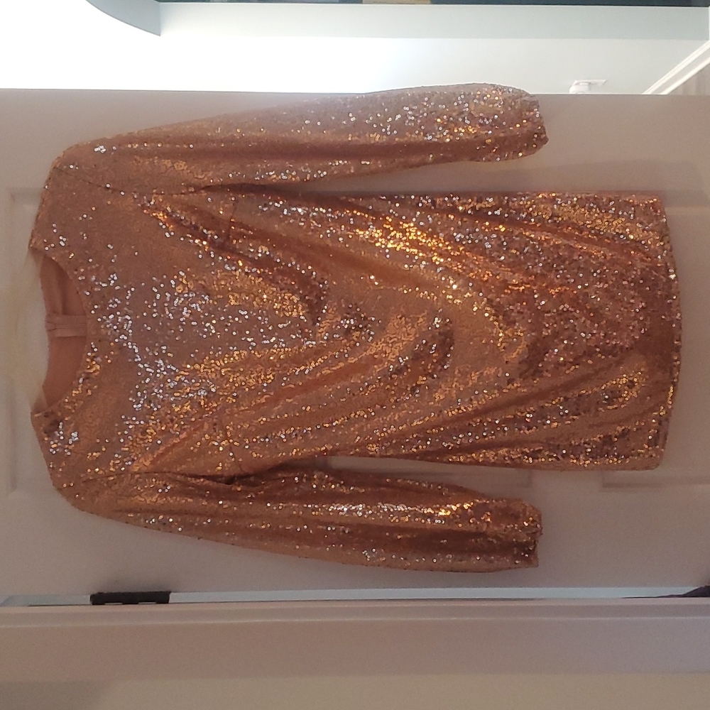 SHEIN Champgane sequin dress